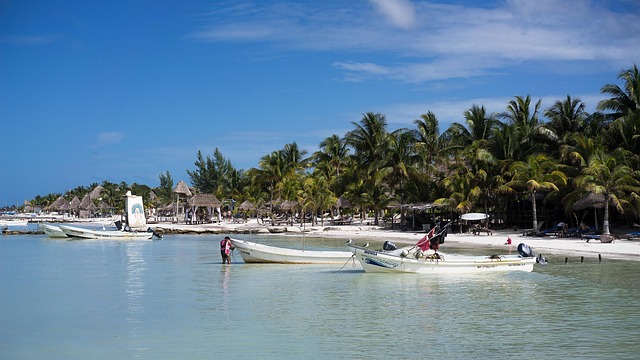 Boats on a beach